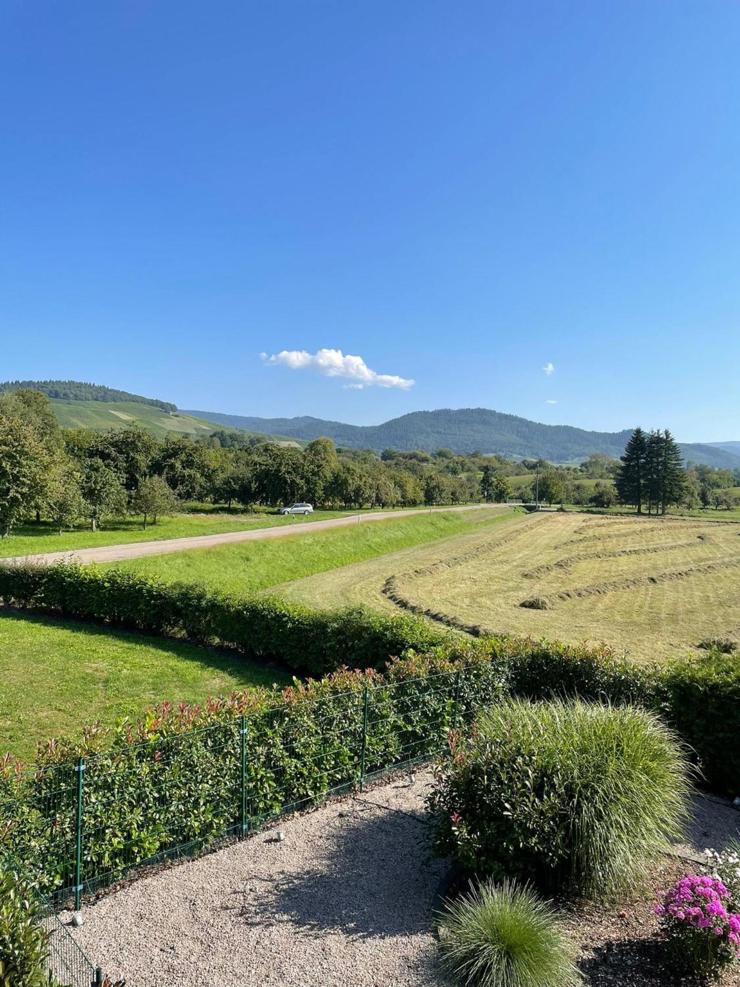 Reblandblick Apartment Baden-Baden