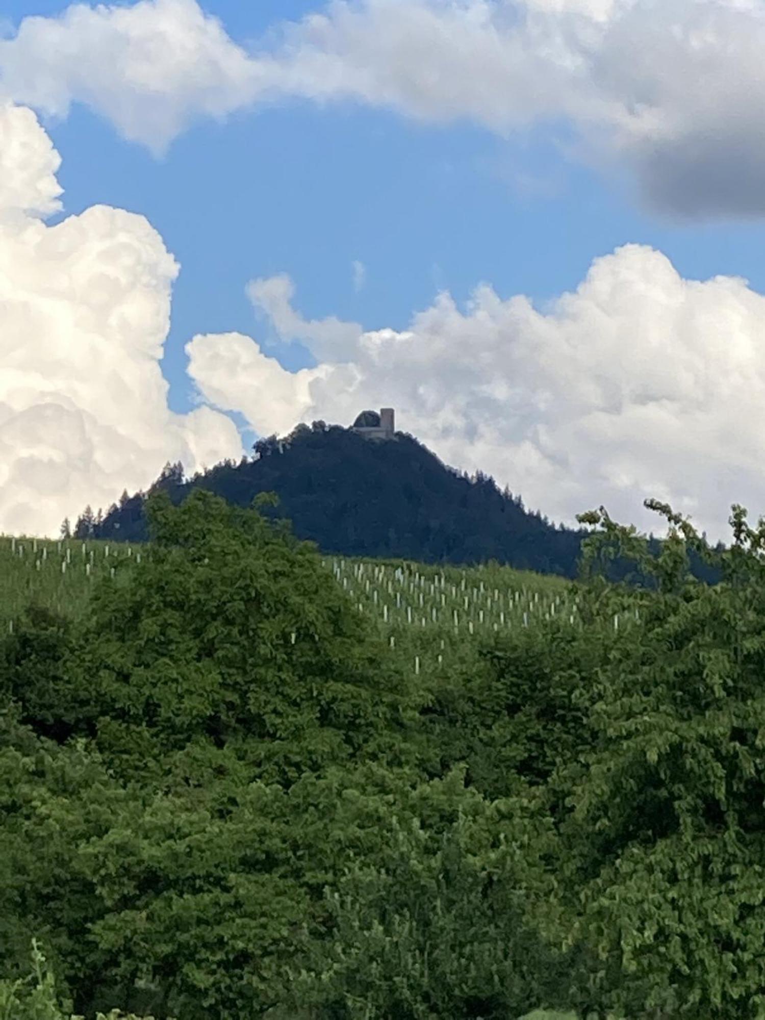Reblandblick